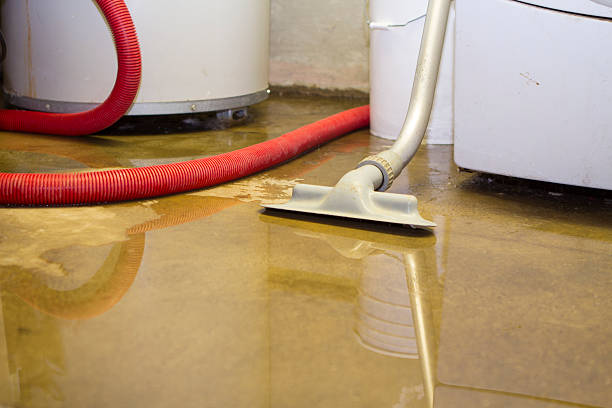 Best Crawl Space Water Damage Solutions in USA